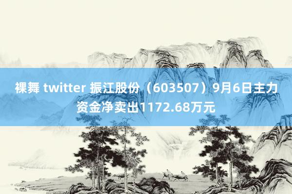 裸舞 twitter 振江股份（603507）9月6日主力资金净卖出1172.68万元