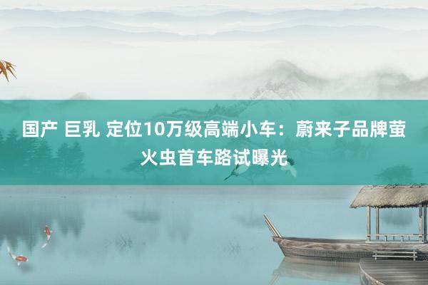 国产 巨乳 定位10万级高端小车：蔚来子品牌萤火虫首车路试曝光