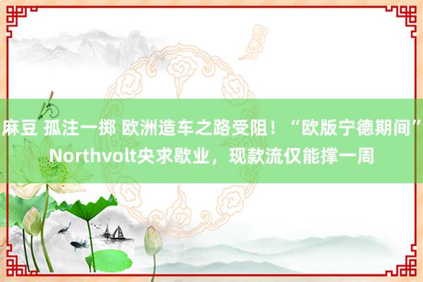 麻豆 孤注一掷 欧洲造车之路受阻！“欧版宁德期间”Northvolt央求歇业，现款流仅能撑一周
