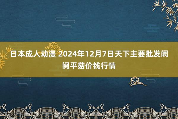 日本成人动漫 2024年12月7日天下主要批发阛阓平菇价钱行情