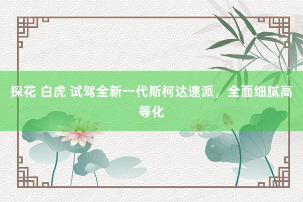探花 白虎 试驾全新一代斯柯达速派，全面细腻高等化