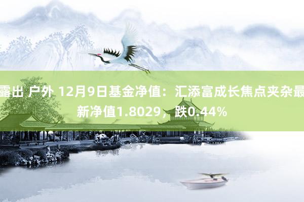 露出 户外 12月9日基金净值：汇添富成长焦点夹杂最新净值1.8029，跌0.44%