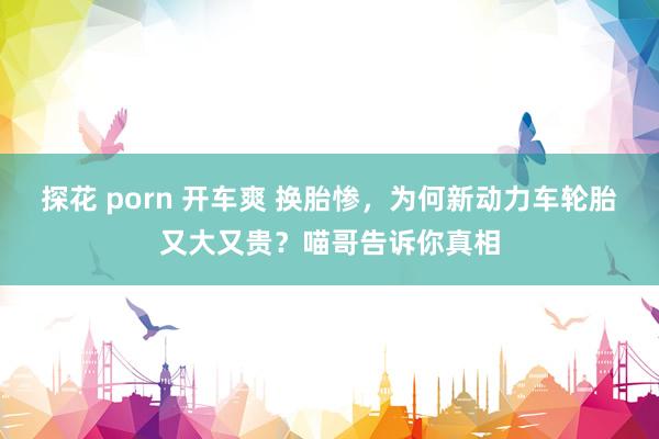 探花 porn 开车爽 换胎惨，为何新动力车轮胎又大又贵？喵哥告诉你真相