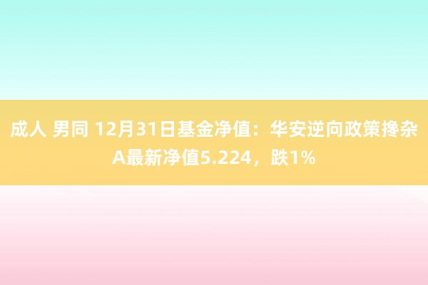 成人 男同 12月31日基金净值：华安逆向政策搀杂A最新净值5.224，跌1%