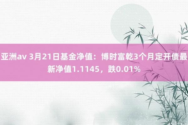 亚洲av 3月21日基金净值：博时富乾3个月定开债最新净值1.1145，跌0.01%