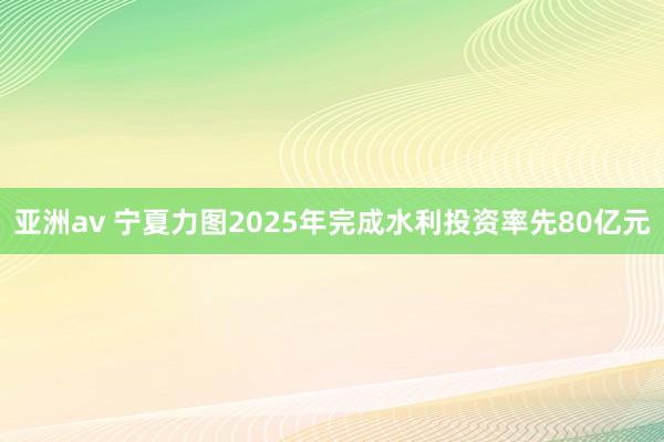 亚洲av 宁夏力图2025年完成水利投资率先80亿元