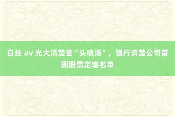 白丝 av 光大清楚尝“头啖汤”，银行清楚公司首现股票定增名单